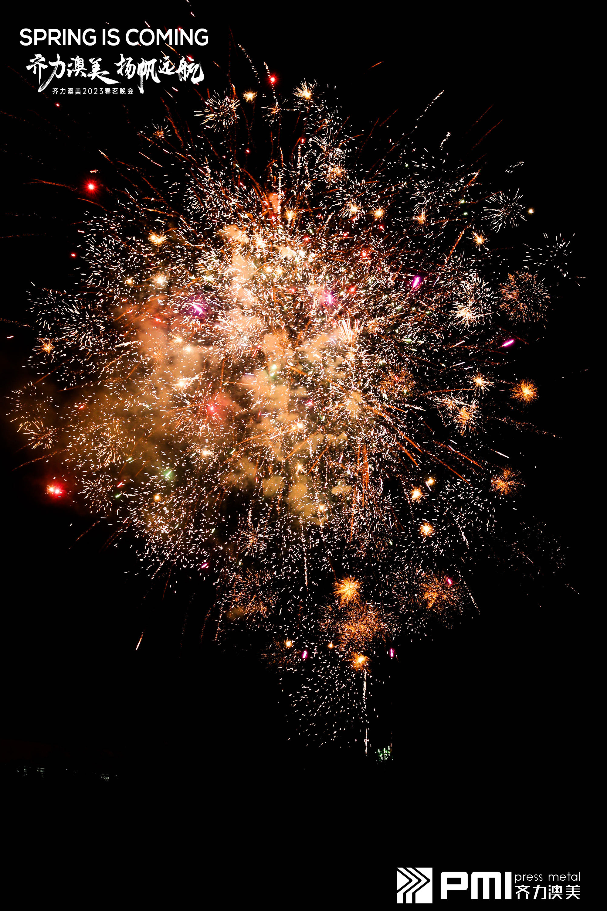 1736216838524603.jpg 202303301419478769.jpg